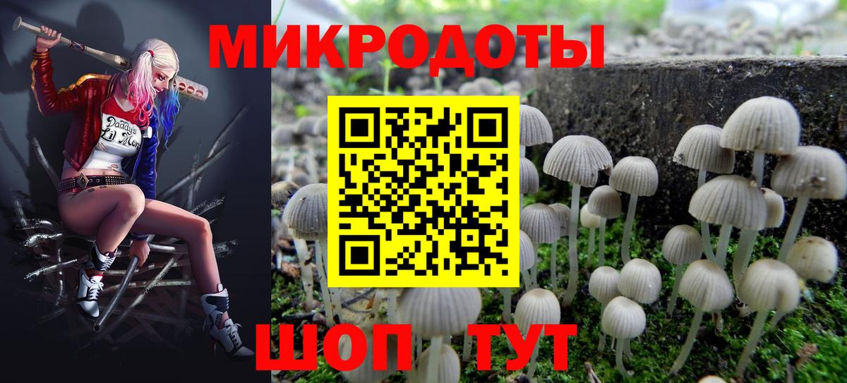 закладка  Вход с VPN  Тавда  Галлюциногенные грибы Magic Shrooms 
